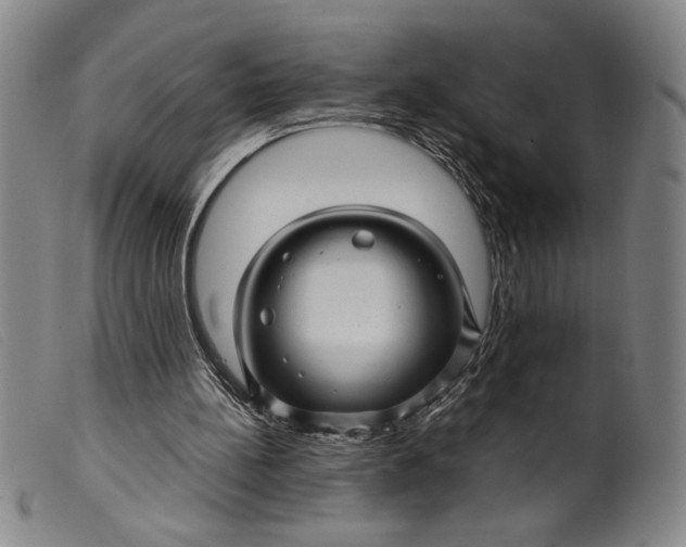 X0000099430148200805231701