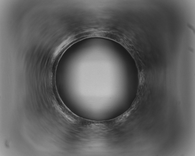X0000099430150200805231701