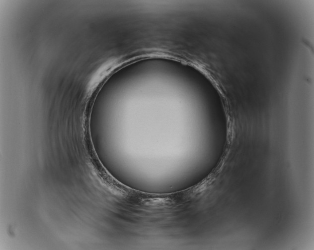 X0000099430151200805231701