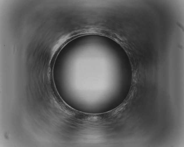 X0000099430152200805231701