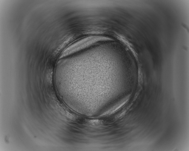 X0000099430153200805231702