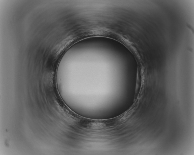 X0000099430154200805231702