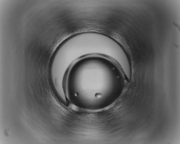 X0000099430156200805231702