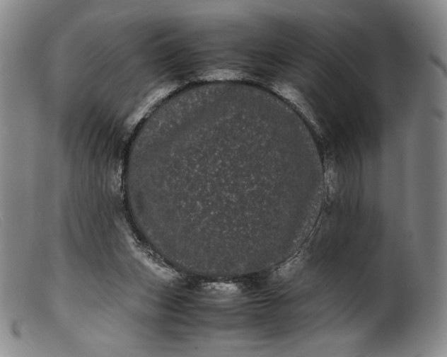 X0000099430159200805231702