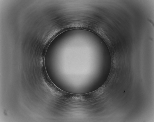 X0000099430160200805231702