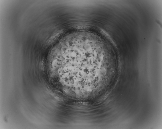 X0000099430161200805231702