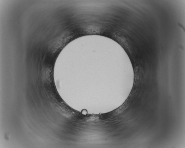 X0000099430162200805231702