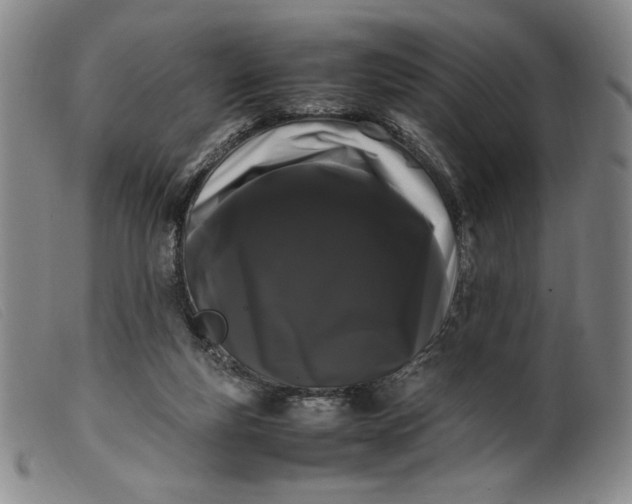 X0000099430163200805231702