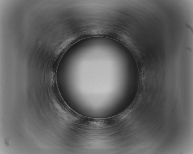 X0000099430164200805231702