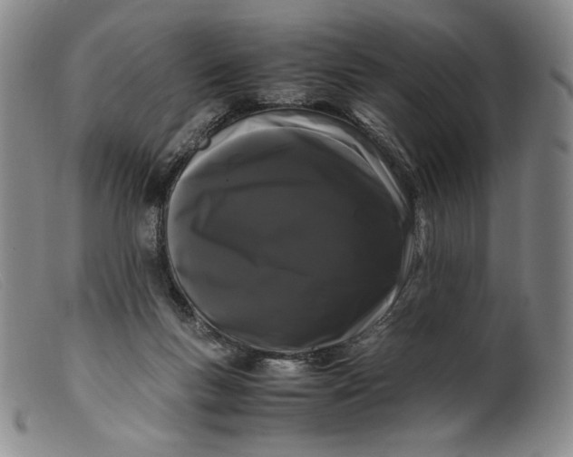 X0000099430167200805231702