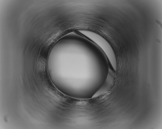 X0000099430168200805231702