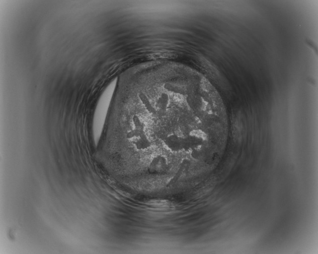 X0000099430169200805231702