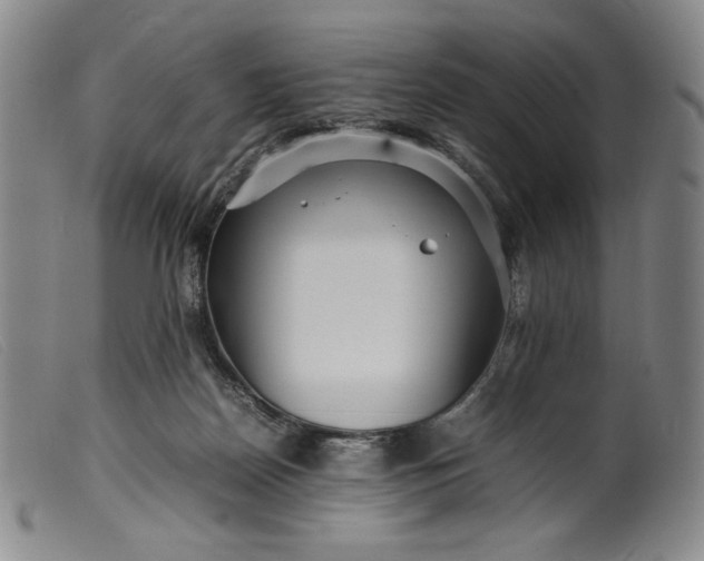 X0000099430170200805231702