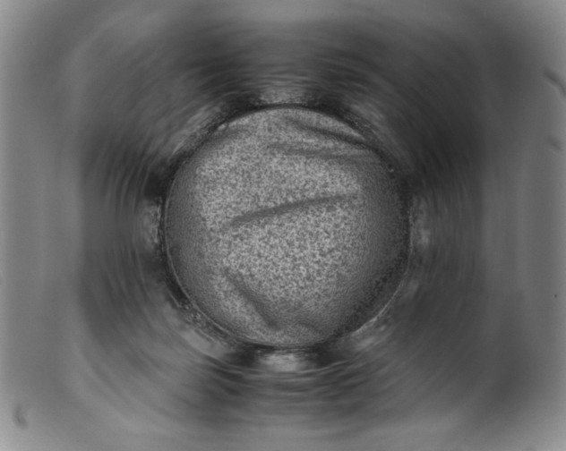 X0000099430171200805231702