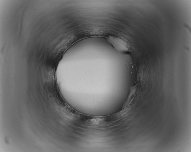 X0000099430172200805231702