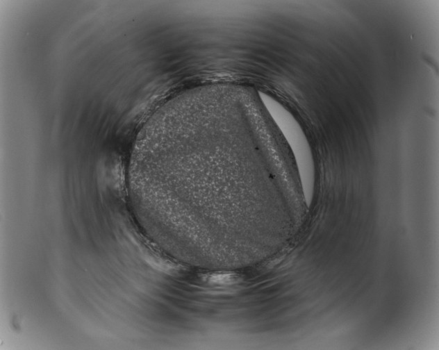 X0000099430173200805231702