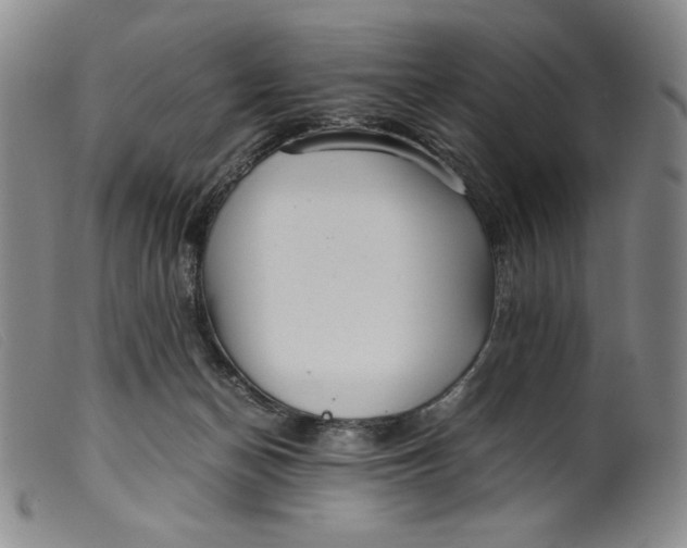 X0000099430174200805231702