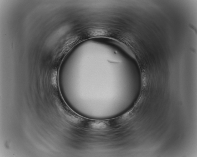 X0000099430175200805231702