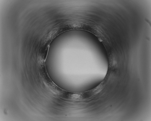 X0000099430176200805231702