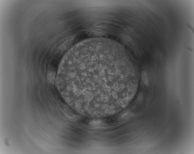 X0000099430177200805231702
