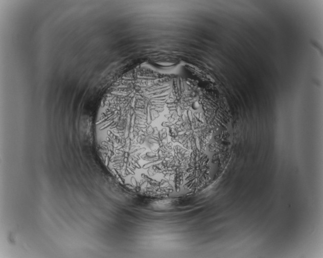 X0000099430178200805231702