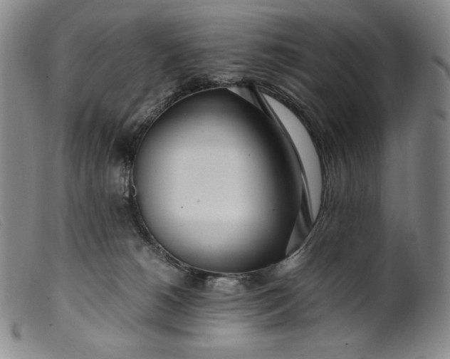 X0000099430180200805231702