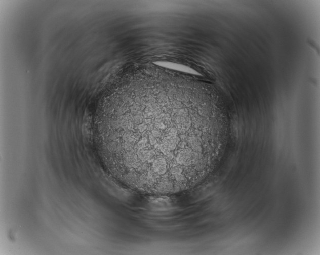 X0000099430181200805231702