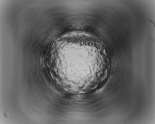 X0000099430182200805231702
