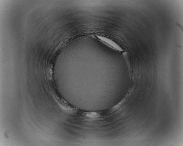 X0000099430183200805231702
