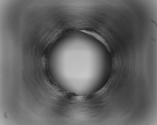 X0000099430184200805231702