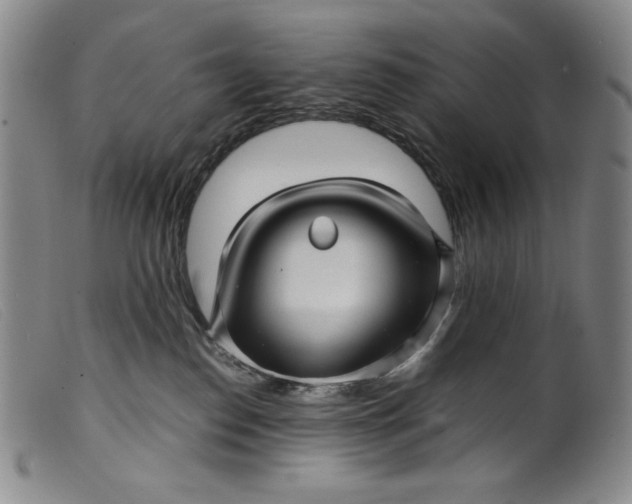 X0000099430186200805231702