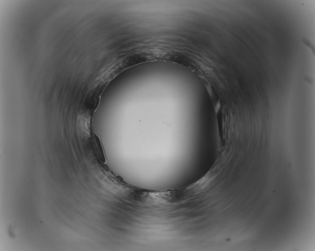 X0000099430188200805231702