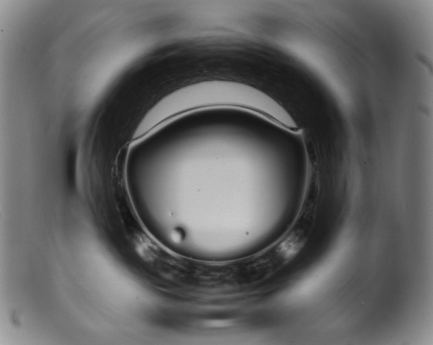 X0000099430189200805231702
