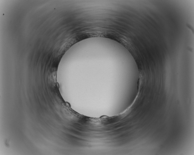 X0000099430190200805231702