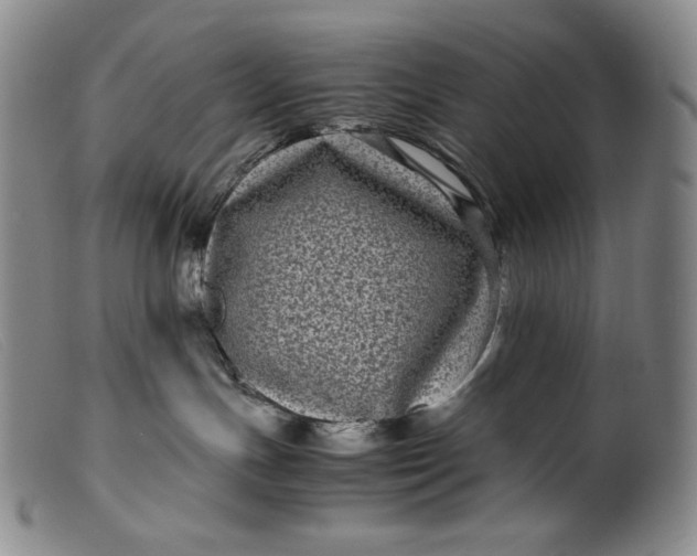 X0000099430191200805231702