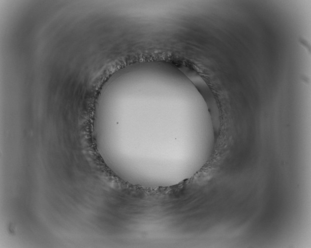 X0000099430192200805231702