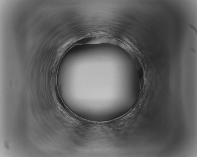 X0000099430193200805231701