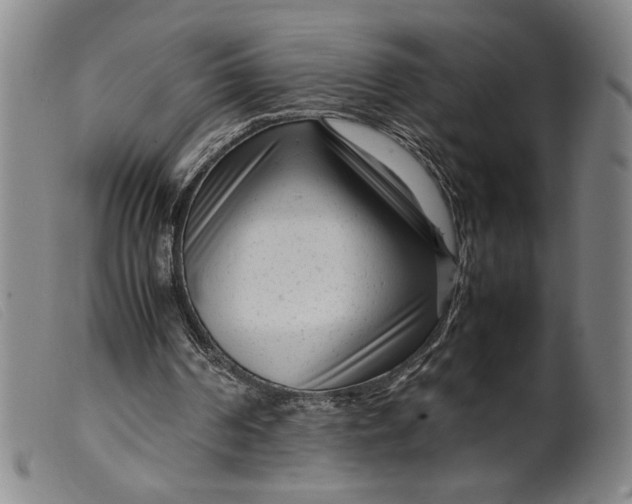 X0000099430194200805231701