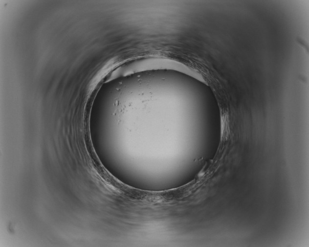 X0000099430195200805231701