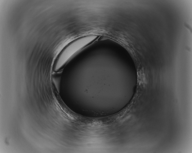 X0000099430196200805231701