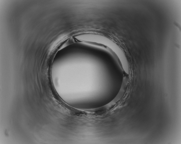 X0000099430197200805231701