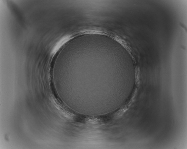 X0000099430199200805231701