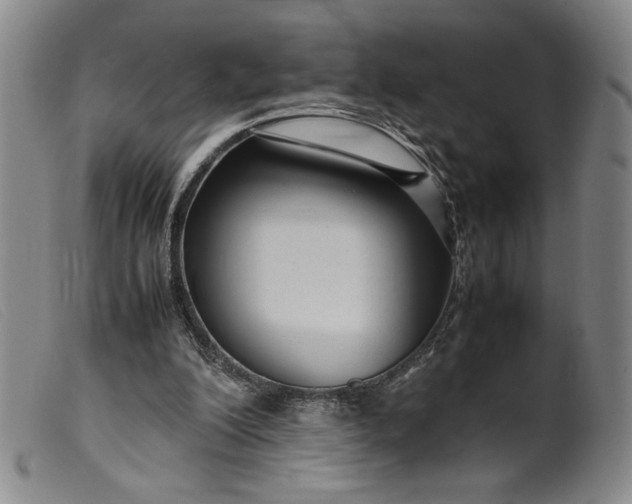 X0000099430200200805231701