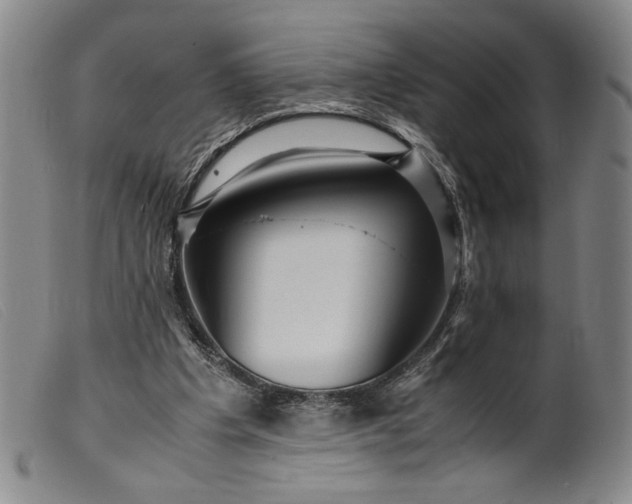 X0000099430201200805231701
