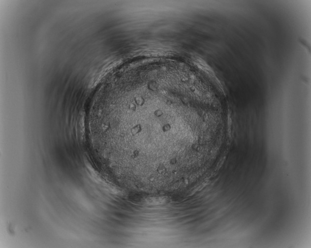 X0000099430202200805231701