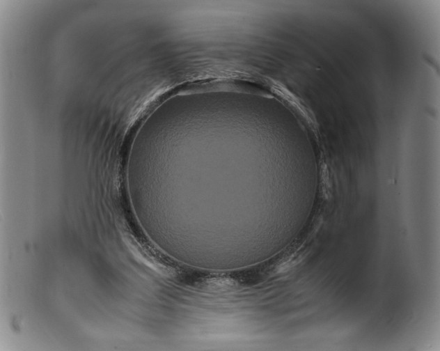 X0000099430203200805231701