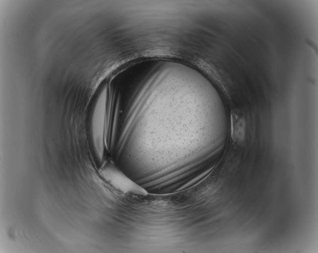 X0000099430204200805231701