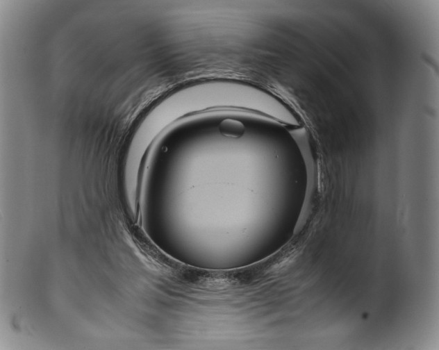X0000099430205200805231701