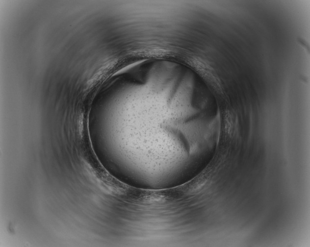 X0000099430206200805231701