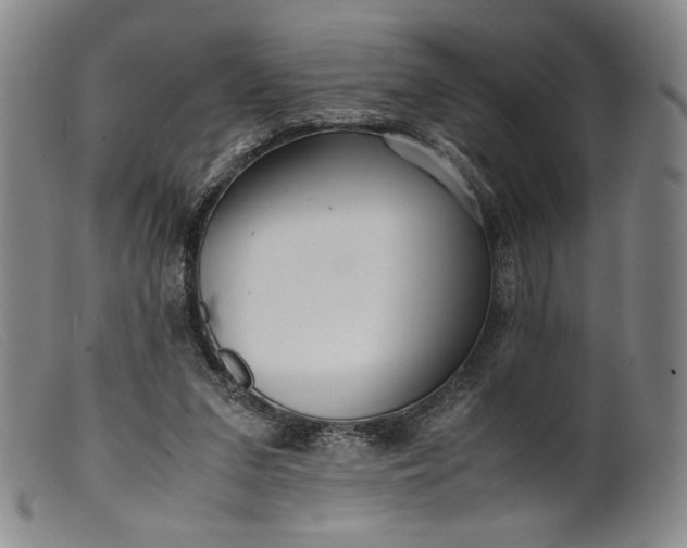 X0000099430207200805231701